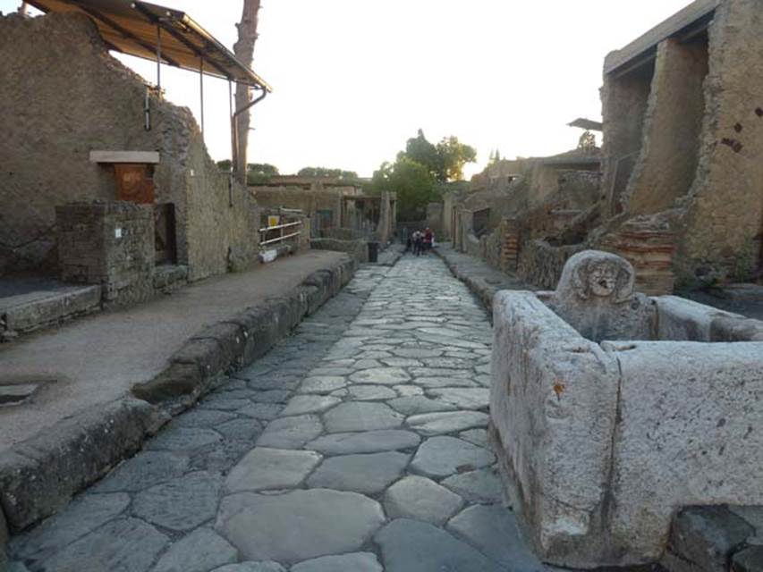 Herculaneum Cardo V